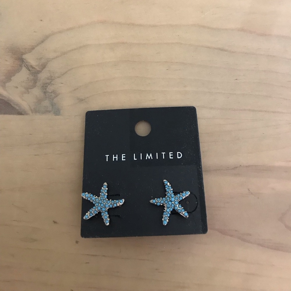 The Limited Silver and Torquise Stud Earrings